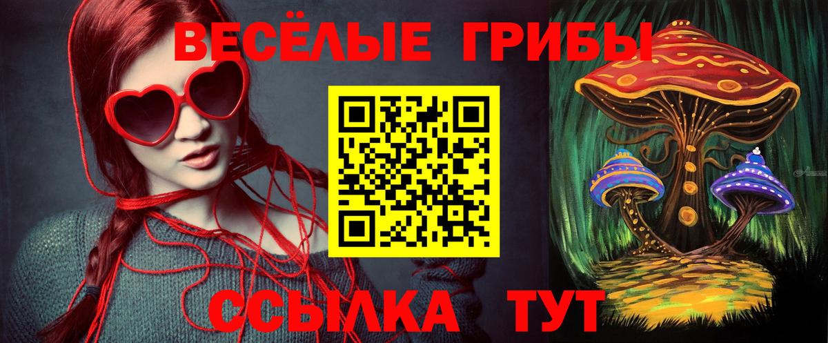 Галлюциногенные грибы Psilocybe  Галлюциногенные грибы Psilocybine cubensis  Сосновоборск  Вход с VPN 
